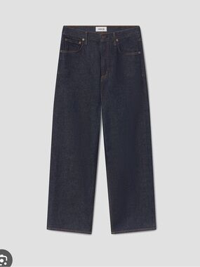 NWT Agolde Ren Wide Leg Jeans
